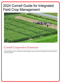 Front Cover of 2024 Field Crops Guidelines