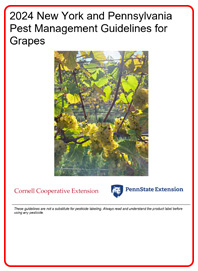 Front Cover of 2024 Grapes Guidelines