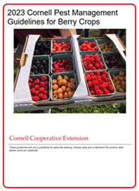 Front Cover of 2023 Berry Crops Guidelines