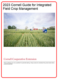 Front Cover of 2023 Field Crops Guidelines