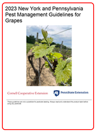 Front Cover of 2023 Grapes Guidelines