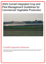 Front Cover of 2024 Vegetable Crops Guidelines