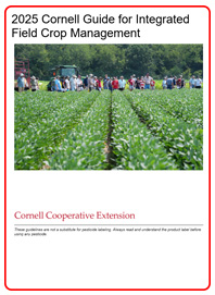 Front Cover of 2025 Field Crops Guidelines